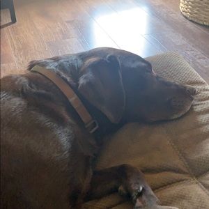 Meet your Posher, Tony